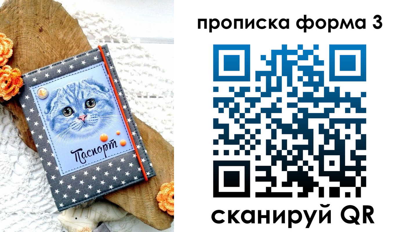 прописка поиск в Кеми